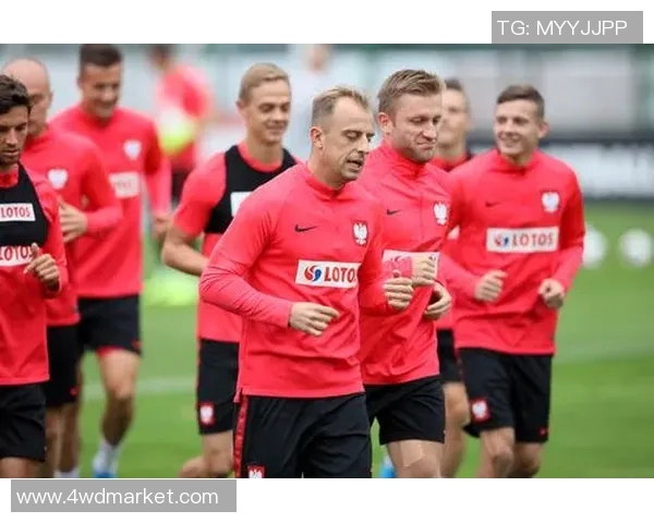 奥地利与波兰足球历史交锋记录分析及战绩回顾