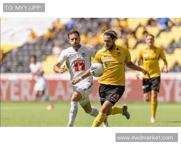 央视德国对瑞典精彩比赛回放全程回顾与分析